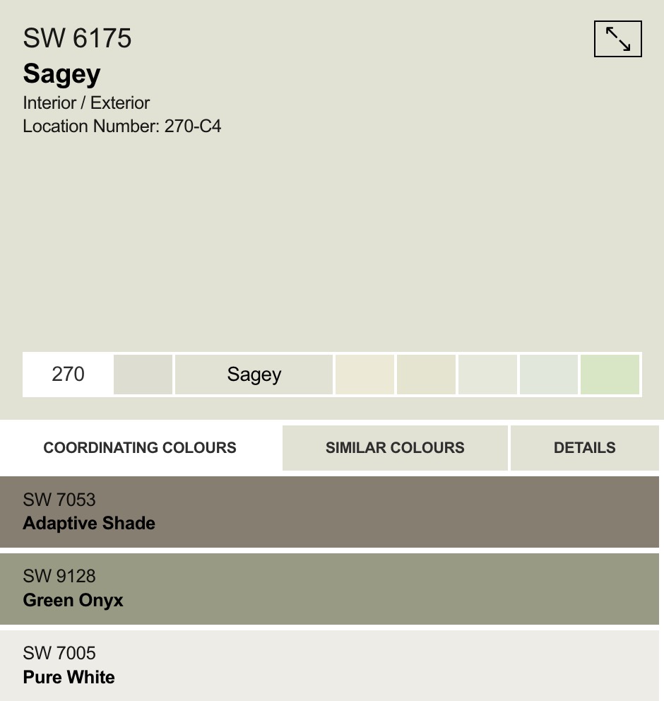 Soft Sage Green Color Chip